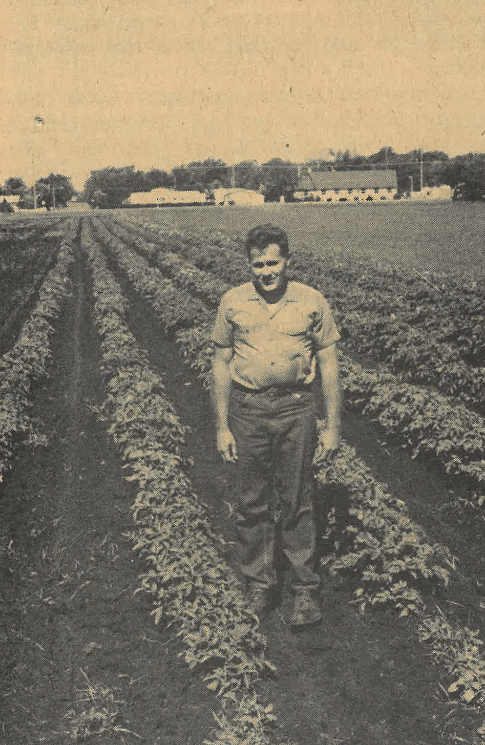 black-and-white photo of man standing beside plants in a field