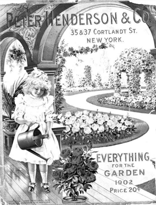 Old seed catalogue cover with a black and white drawing of a young girl watering a rose bush in a flower garden, and the words "Peter Henderson & Co. 35 & 37 Cortlandt St. New York. Everything for the Garden. 1902. Price 20 cents."