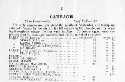 A scan of an old seed catalog page with cabbage listings.