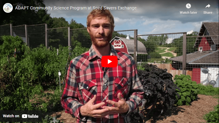A man in a red plaid shirt stands in a garden