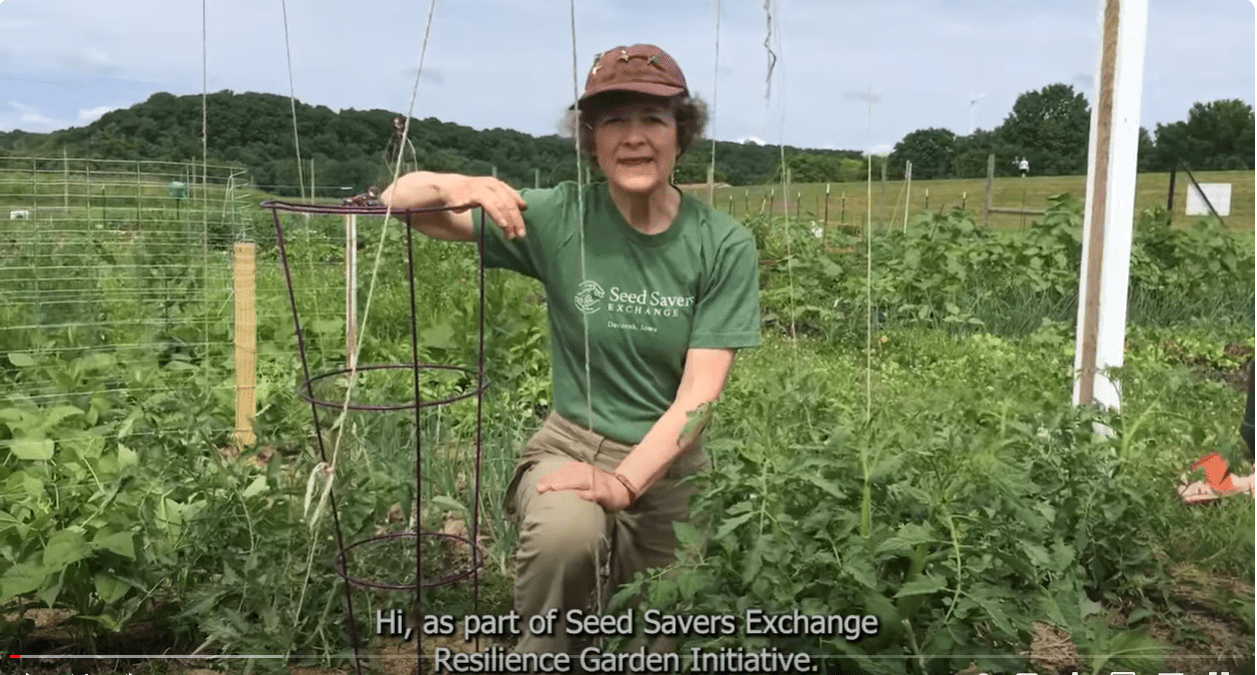 Woman in a garden with metal and French trellises.
