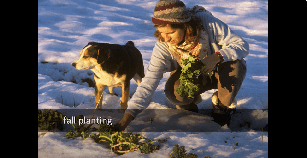 Fall planting