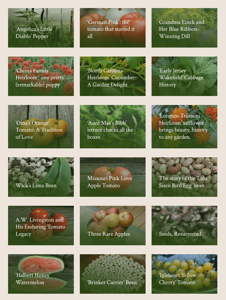 An array of images of different fruits, flowers, and vegetable