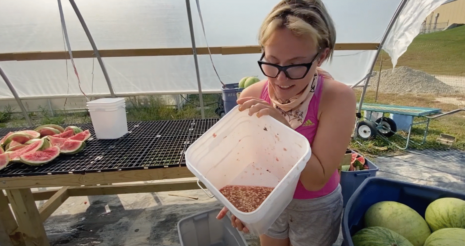 A woman in a pink tank top holds up a large white bucket with watermelon seeds and pulp in it, with watermelons and seed saving supplies on a work bench behind her