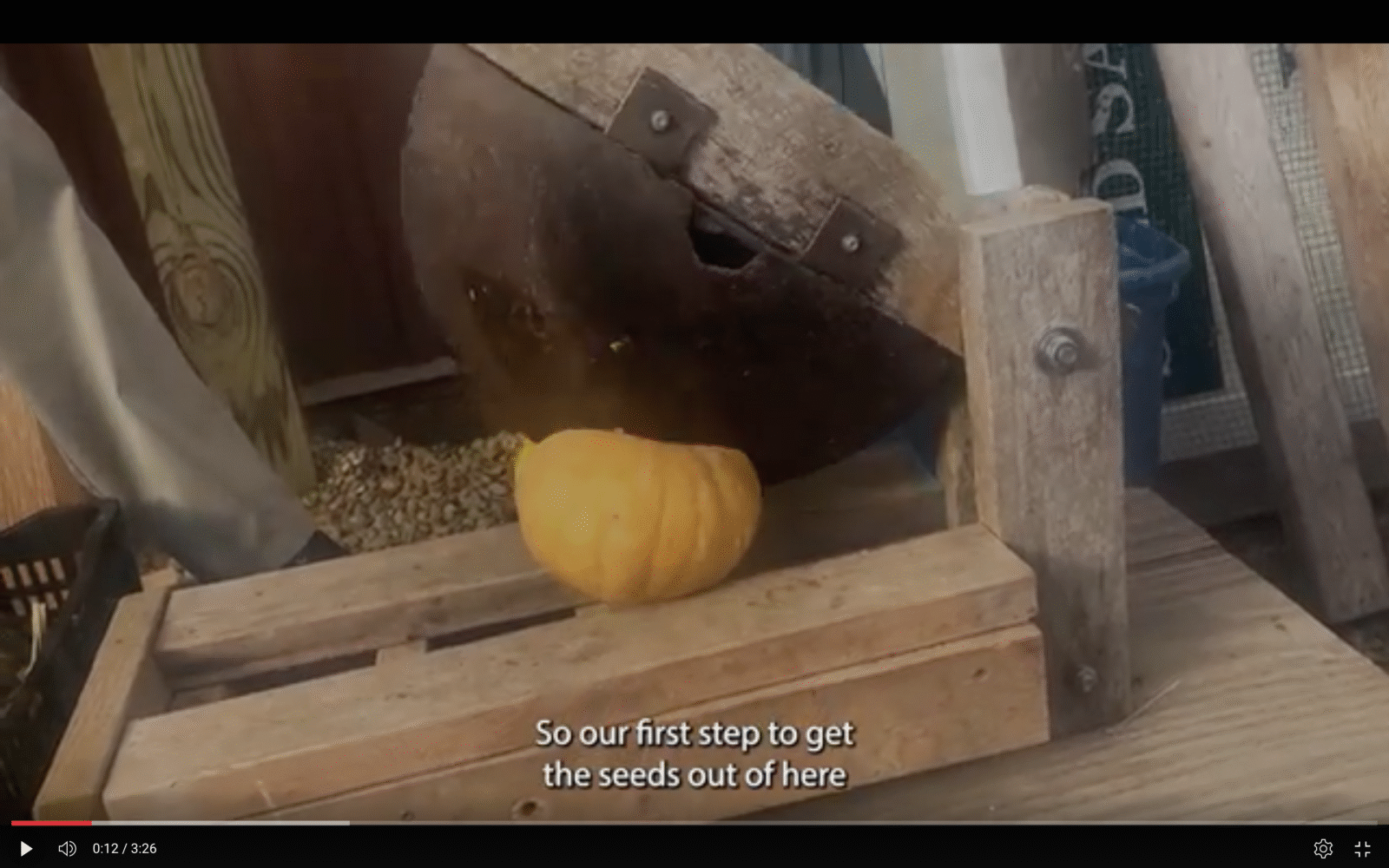 An orange squash gets split in half by a machine with a large blade