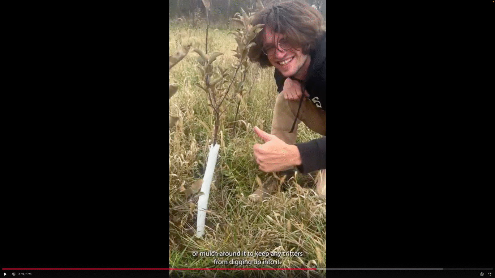A person kneels and gives a thumbs up next to a young apple tree with a spiral vinyl tree guard around it