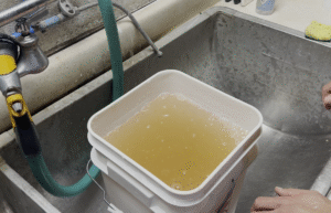 A bucket with tomato seeds and filled with water, colored deep yellow from tomato pulp.