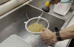 A person rinses a mesh strainer of tomato seeds with a hose.
