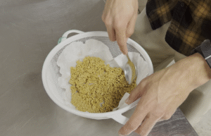 A person spreads tomato seeds into an even layer on coffee filters in a mesh strainer.