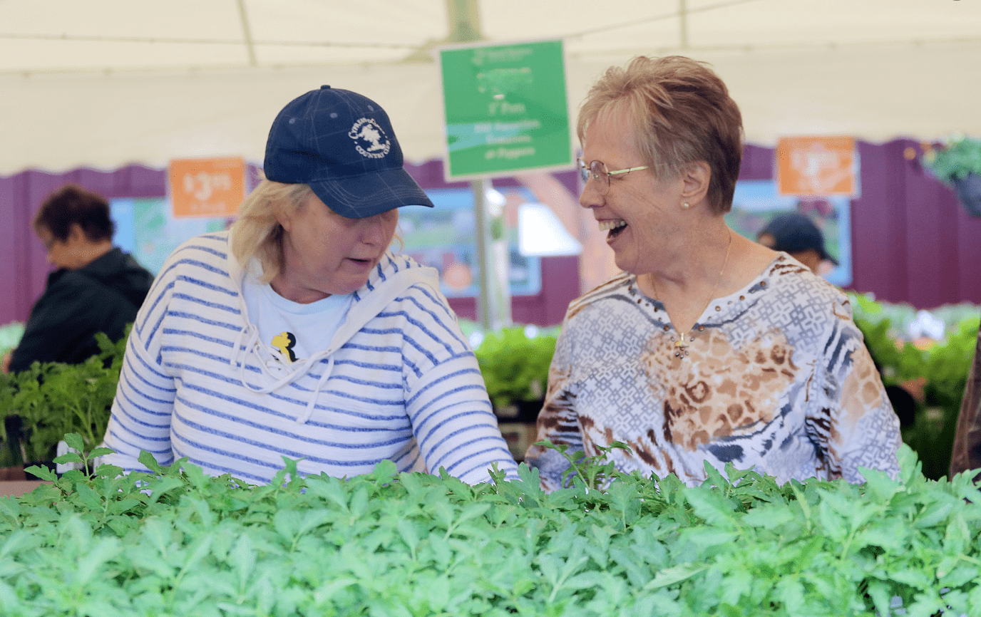 Two people stand behind a table of transplants.